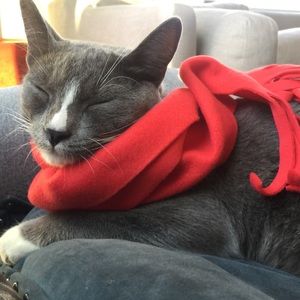 Meet your Posher, Meredith